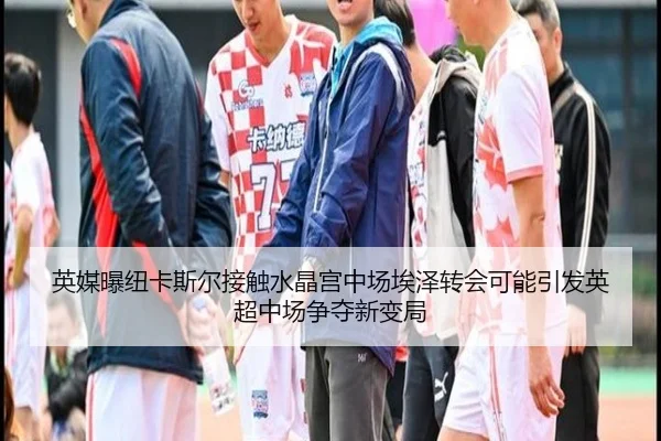 英媒曝纽卡斯尔接触水晶宫中场埃泽转会可能引发英超中场争夺新变局
